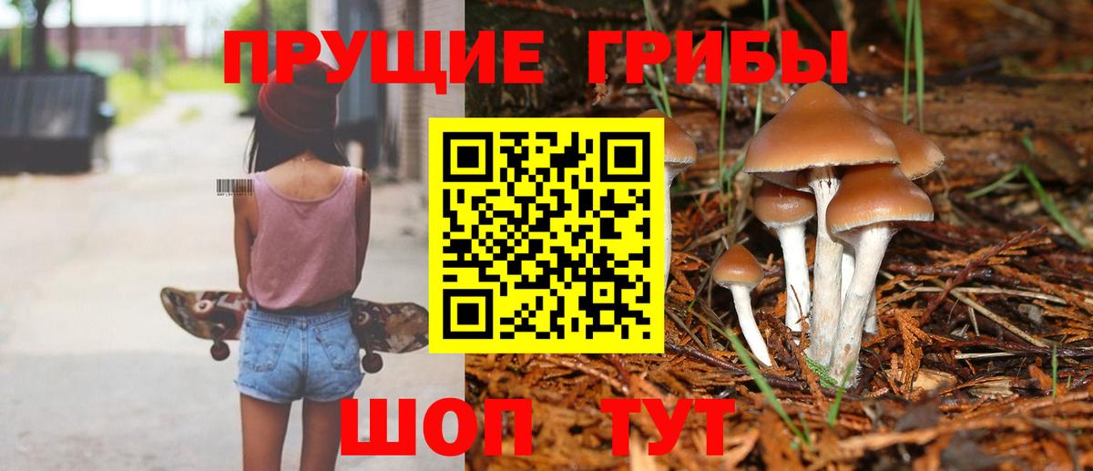 Галлюциногенные грибы GOLDEN TEACHER  Галлюциногенные грибы ЛСД  Саяногорск  Вход с VPN 